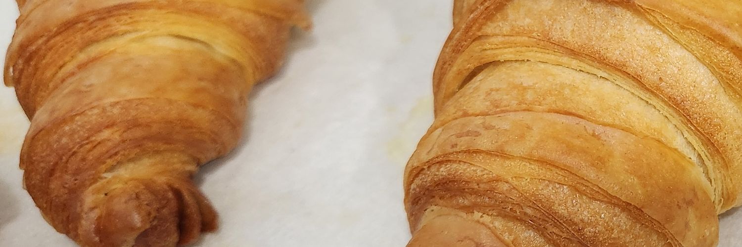 trishsnoop's profile banner image