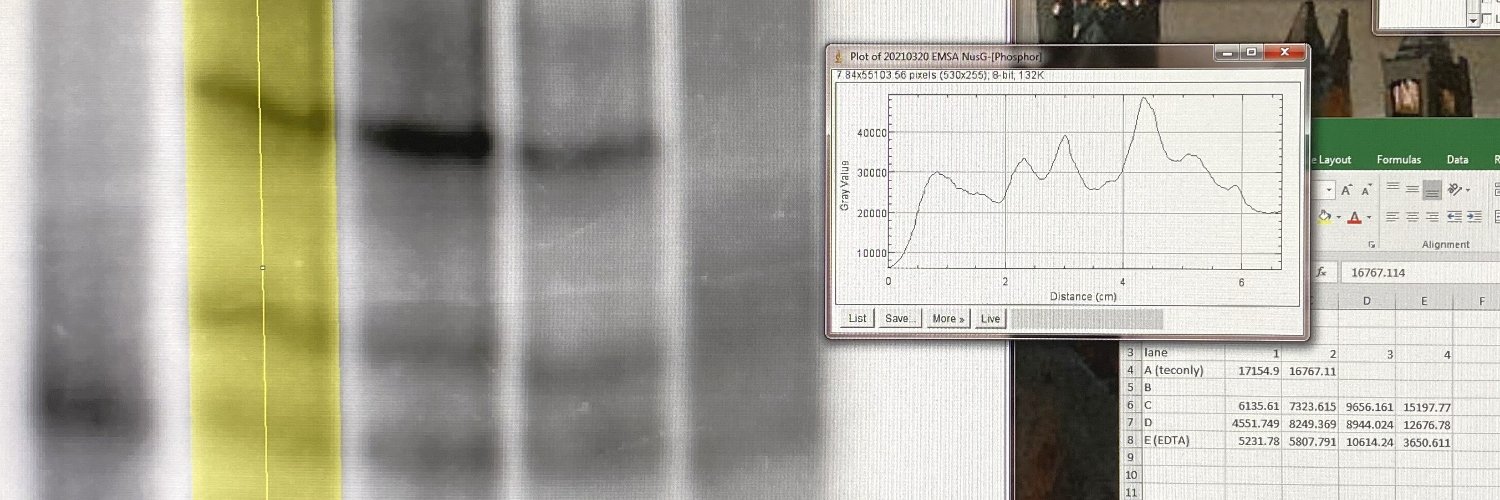 Christiana Binkley banner