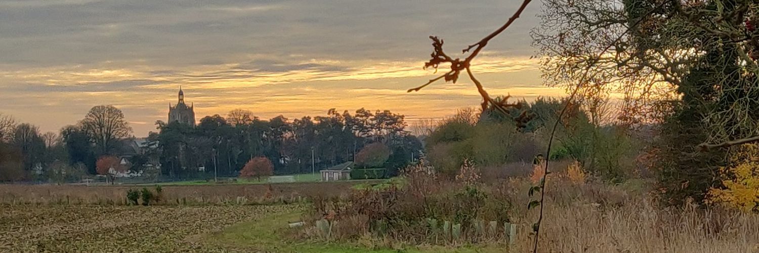 Stephen Thorp banner