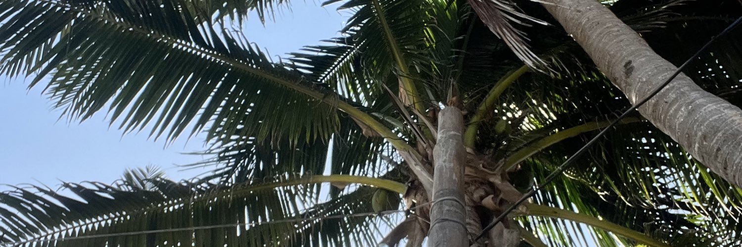 catagonn's profile banner image