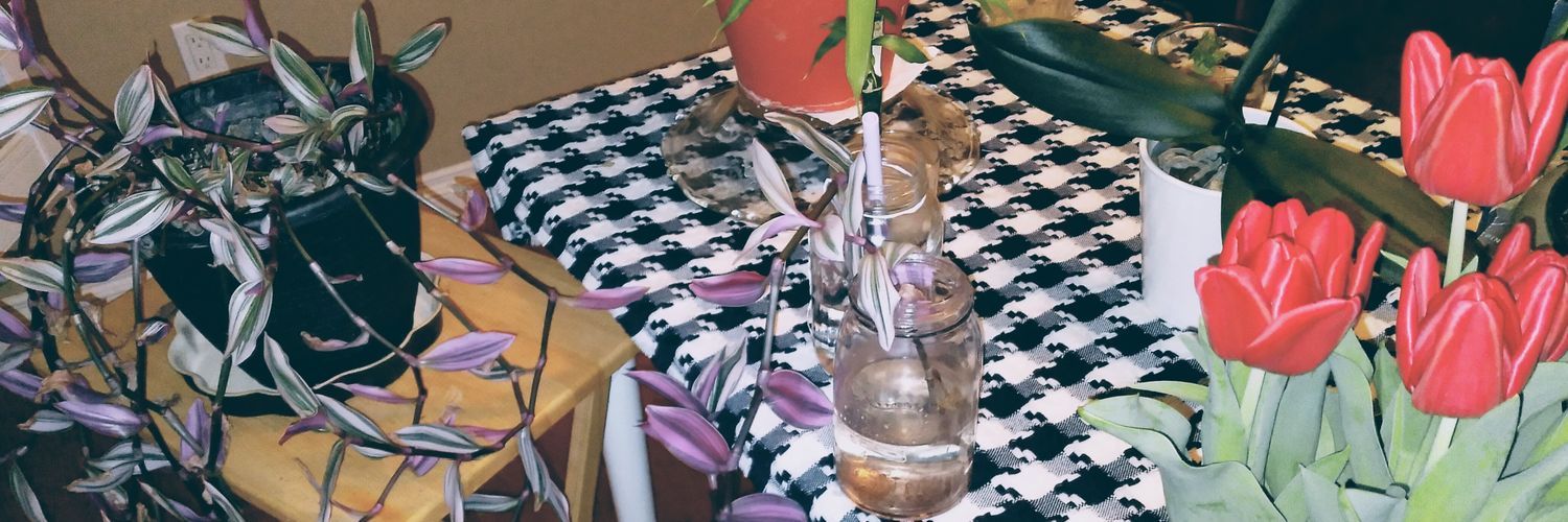 erinnicoleS's profile banner image