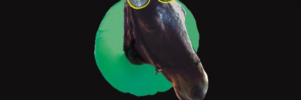 erondalmolin Profile Banner