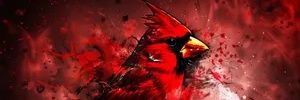 HillsEstates's profile banner image