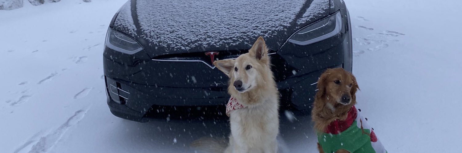 ThreeHeadWolf's profile banner image