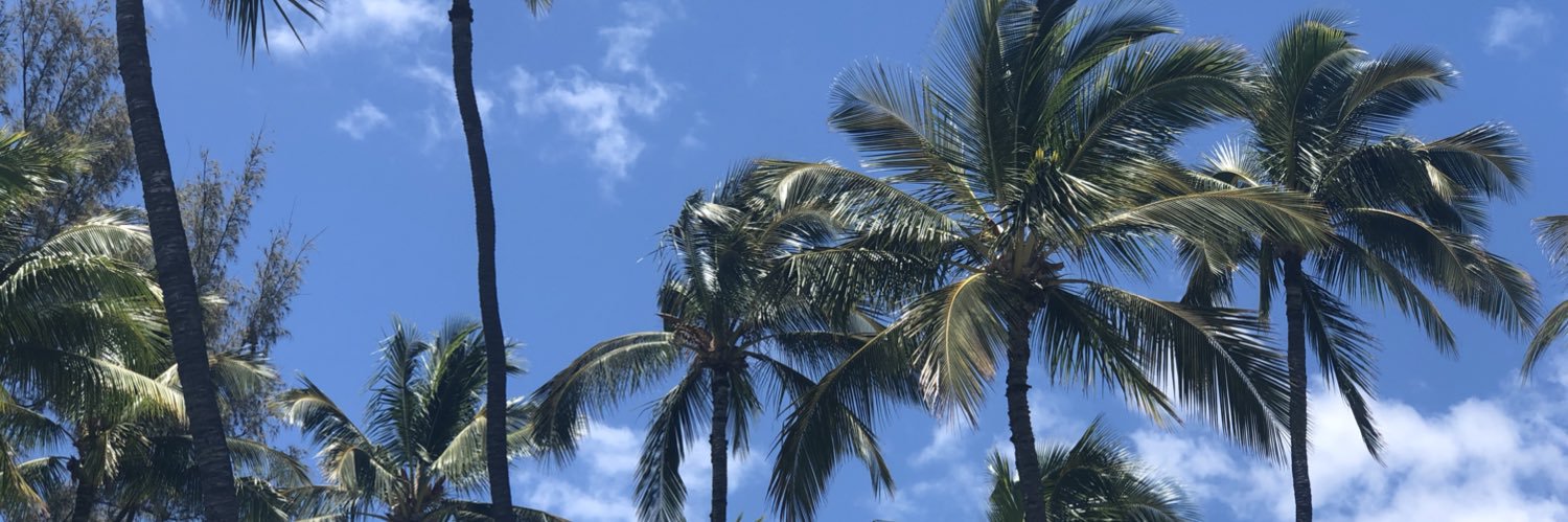 Brookheron's profile banner image