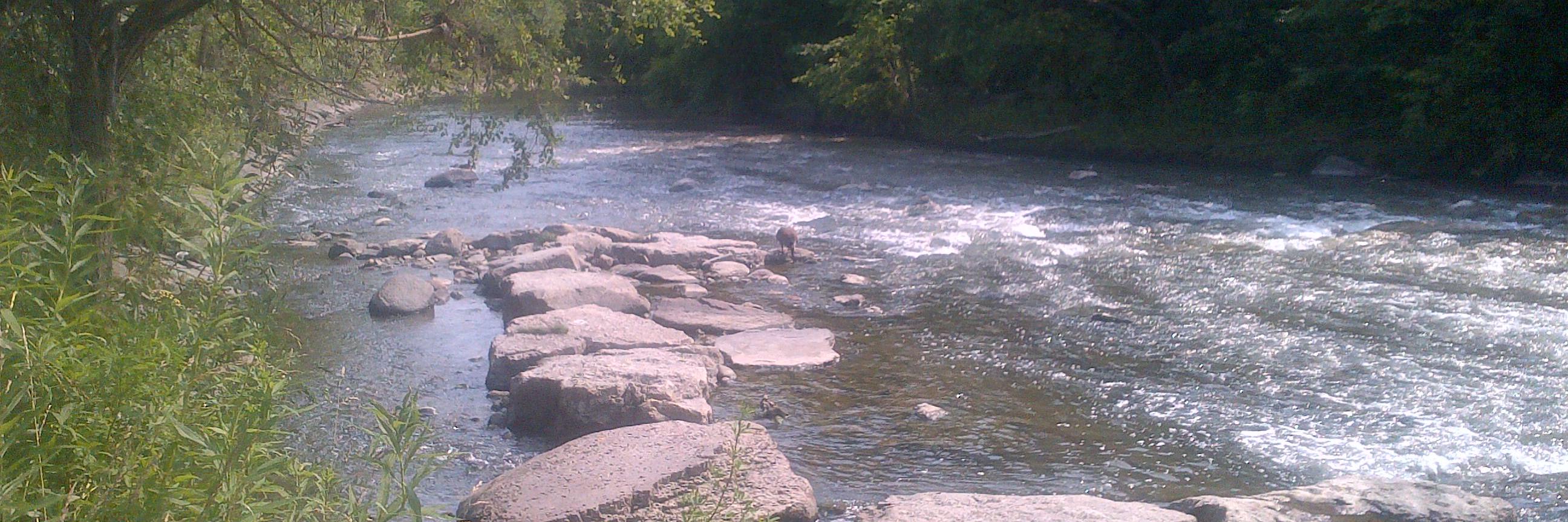 Brian MacLean banner