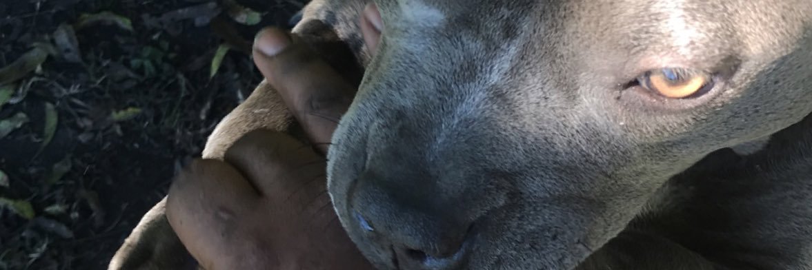 JMac1024's profile banner image