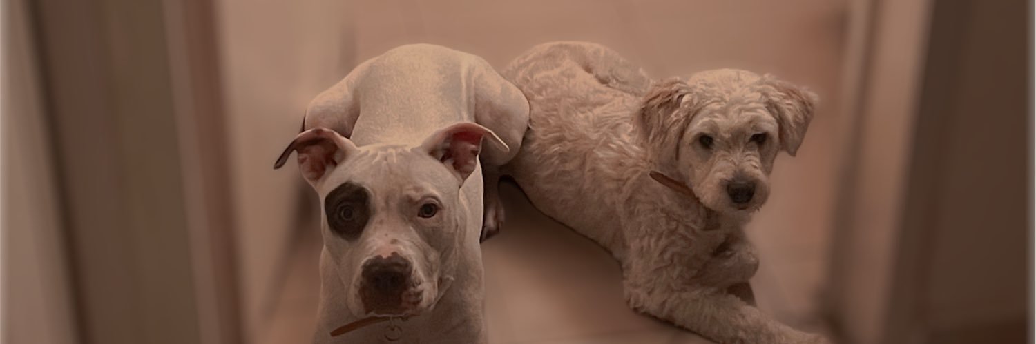FaniiJc's profile banner image
