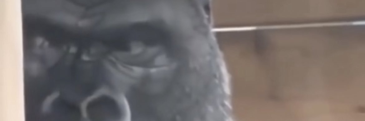 tyler_haddock3's profile banner image