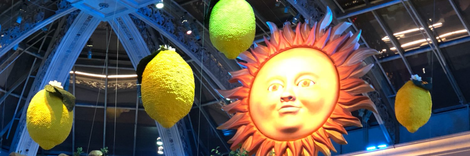 MrNimora's profile banner image