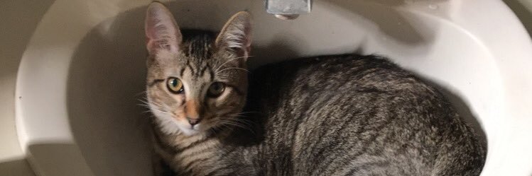 nickfowler93's profile banner image