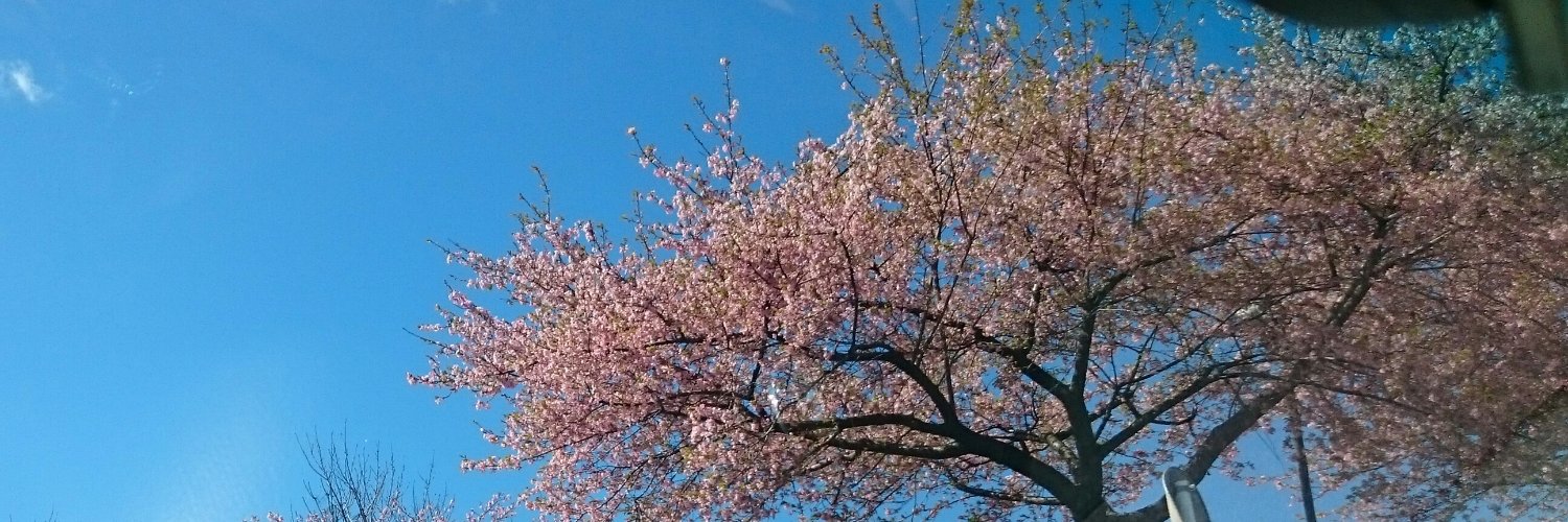 しずき🍀 banner