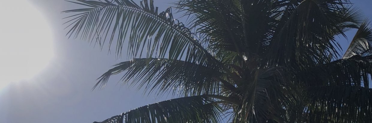 alyssaharris_'s profile banner image