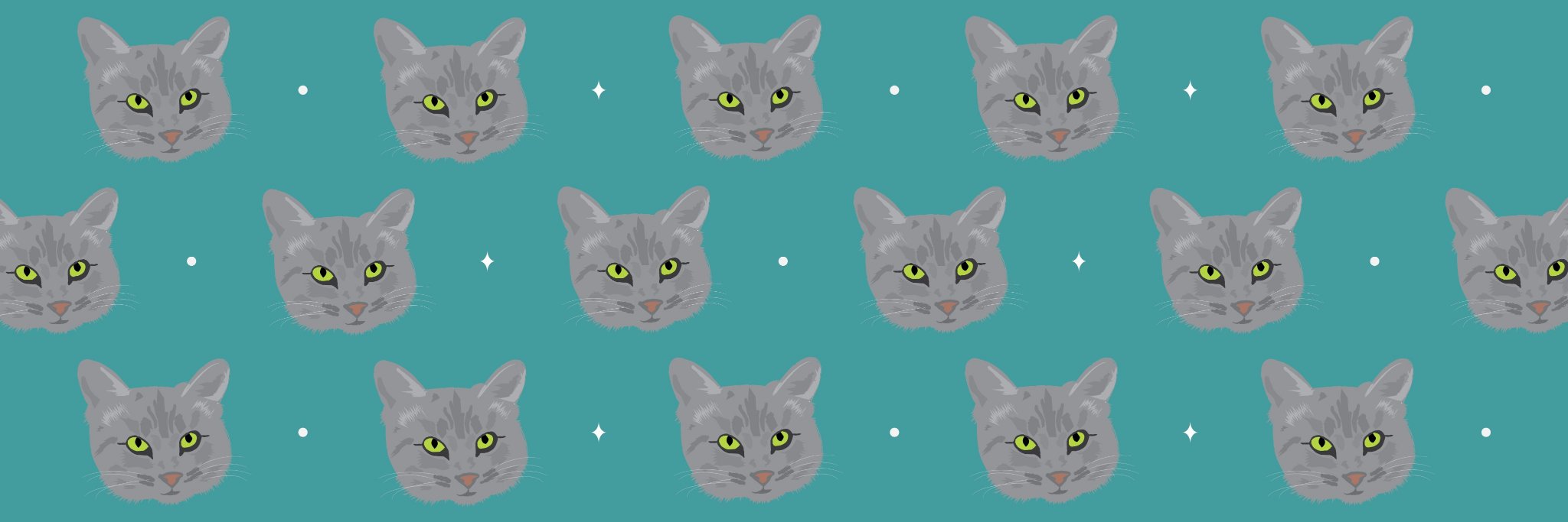 srfreddo's profile banner image