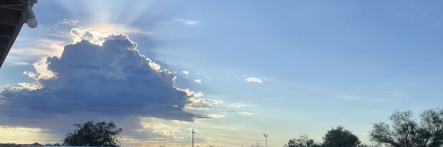 Tatjana McFly banner