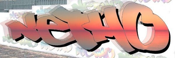 nethomoraes's profile banner image