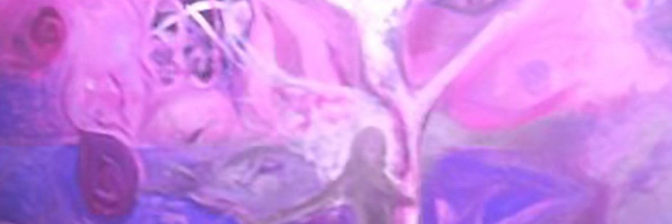 JuneJosh1983's profile banner image