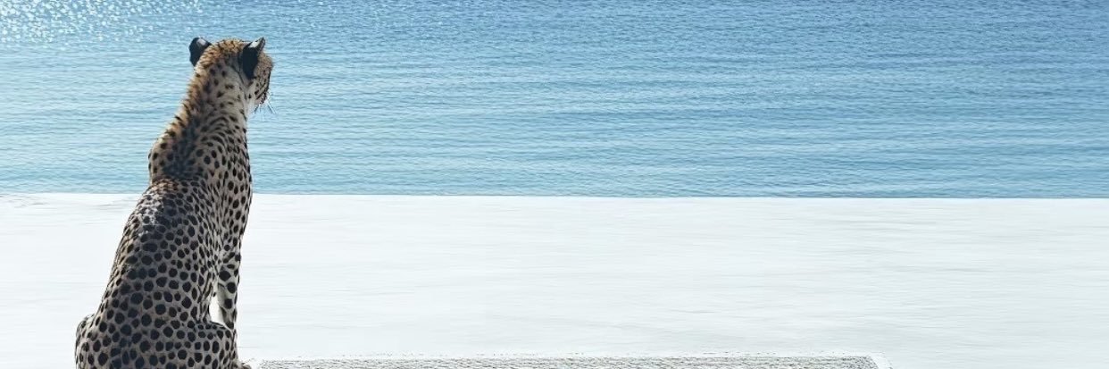 mates1985's profile banner image