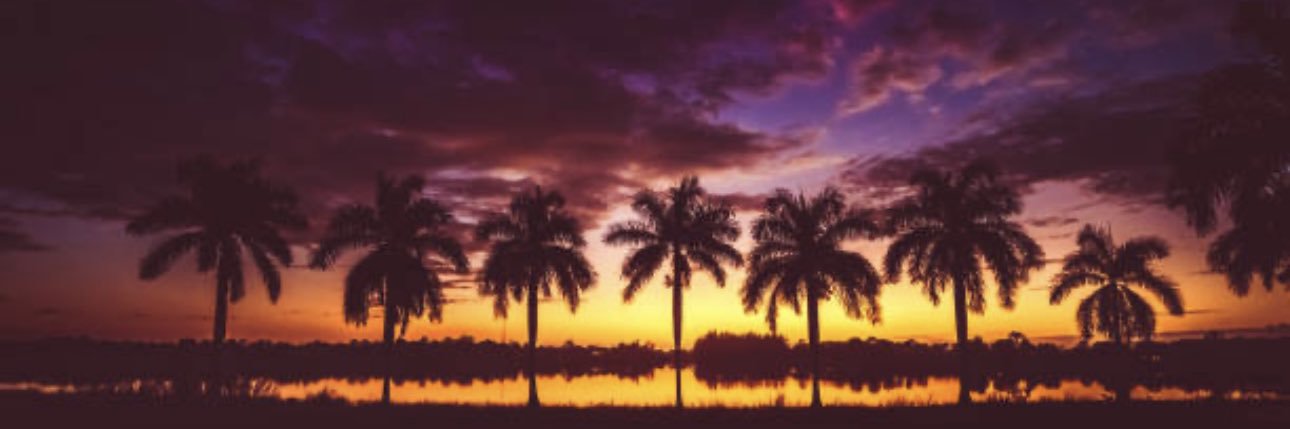 kennycohen's profile banner image