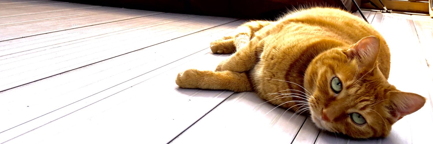 ひで育児・仕事に追われ中 banner