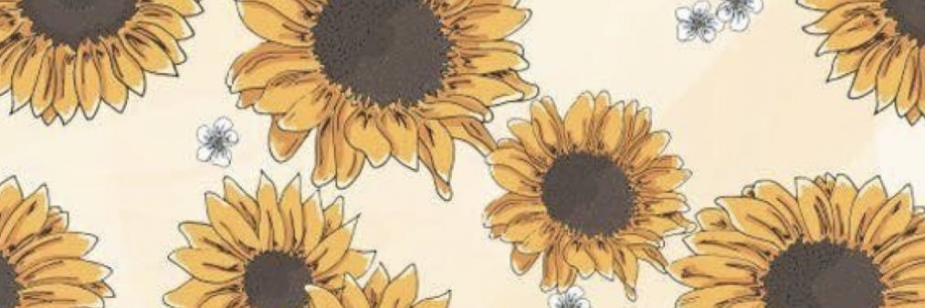 PitcherLexi's profile banner image