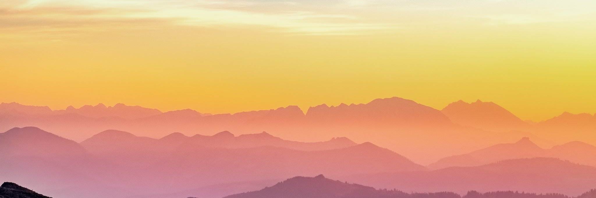 ShannonIngraham's profile banner image