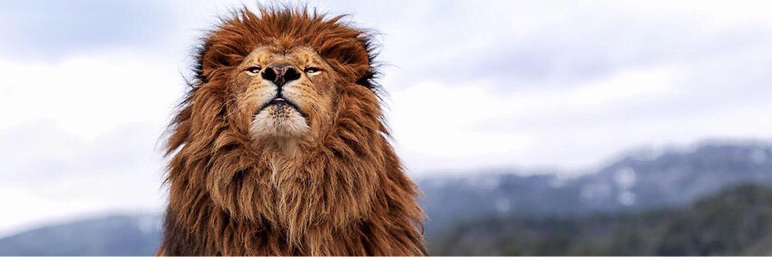 TheOnlyEric3's profile banner image