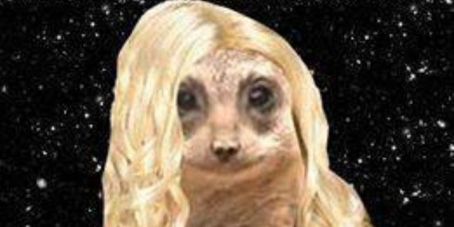 Carollboo's profile banner image