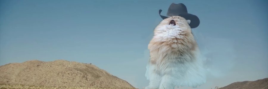MRTIMMYY's profile banner image