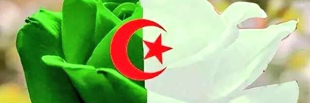 Mimi_kakab's profile banner image