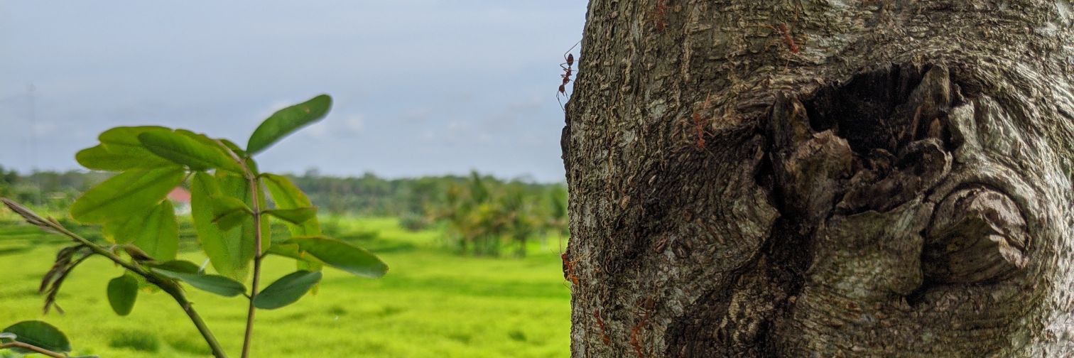 BoniEdwin's profile banner image