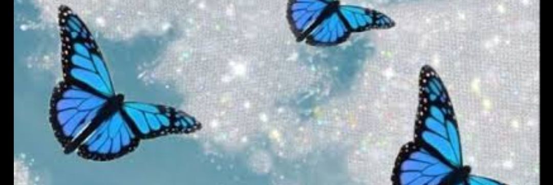 EstterRodrigues's profile banner image