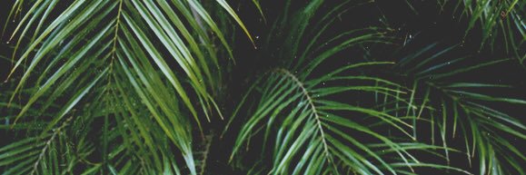 EricaSmerica13's profile banner image