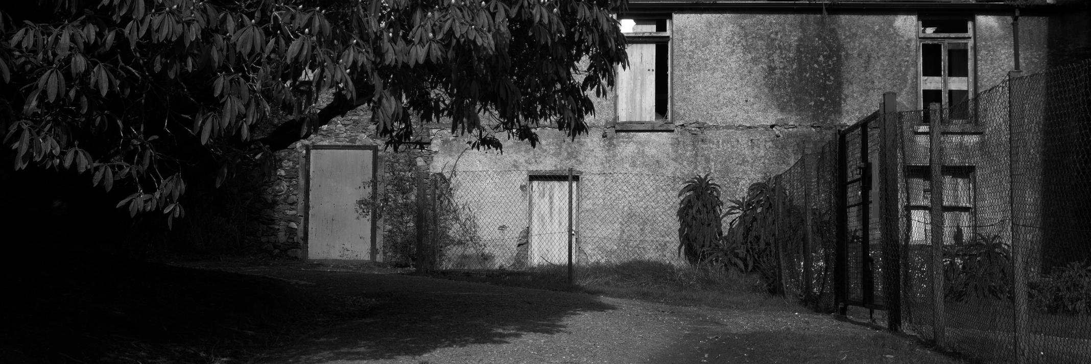 LiamLynch5's profile banner image