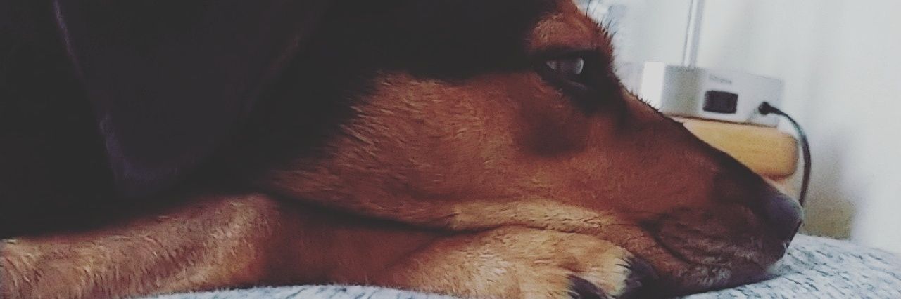 DMcconney11's profile banner image