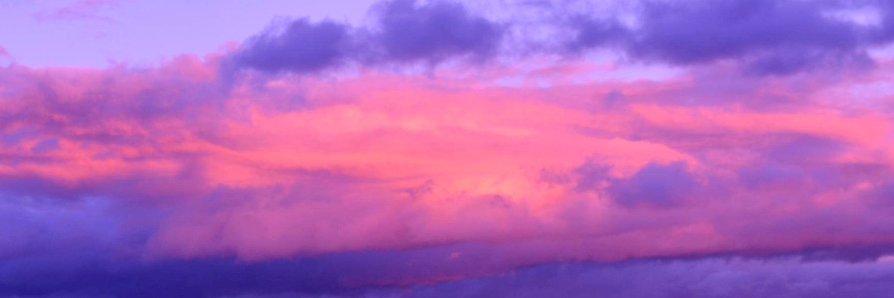 regenweibchen's profile banner image