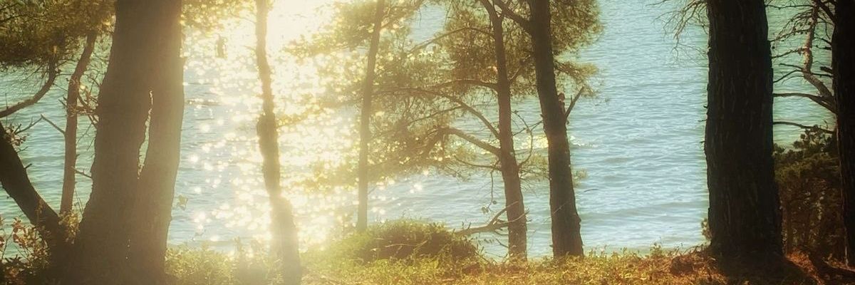 saursmol's profile banner image