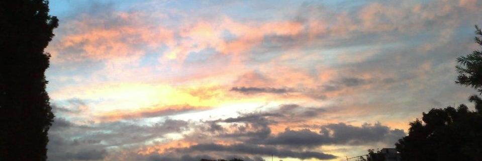 Maruafonso's profile banner image