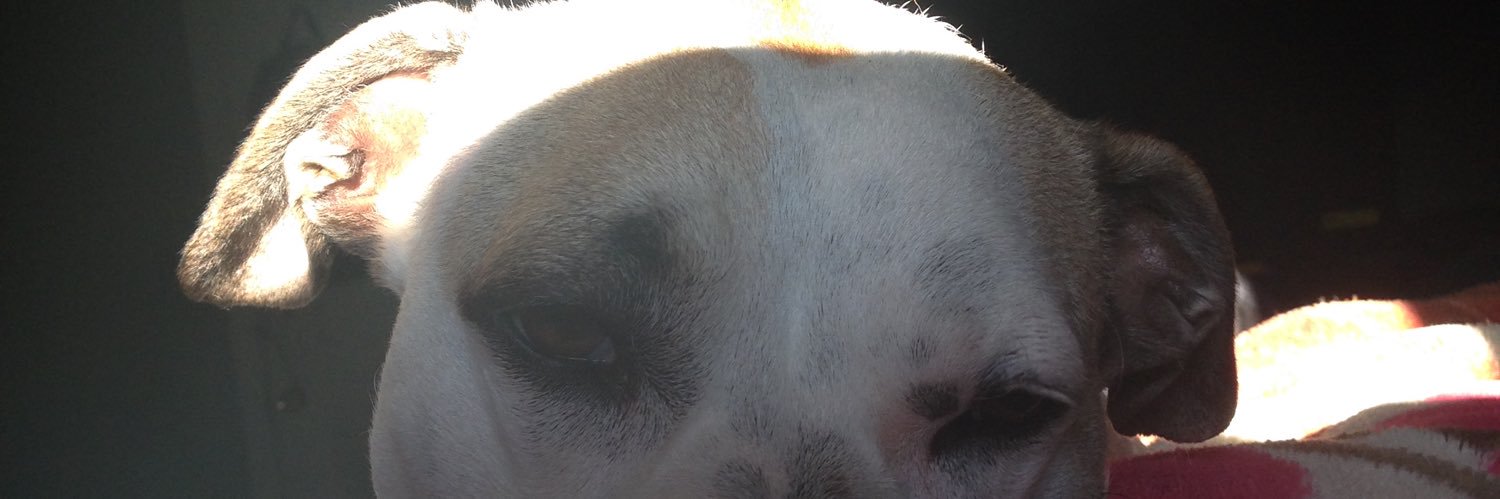 Jason_lovesyou's profile banner image