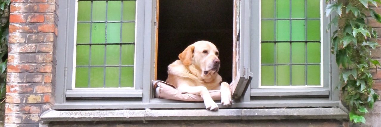 KatGags's profile banner image