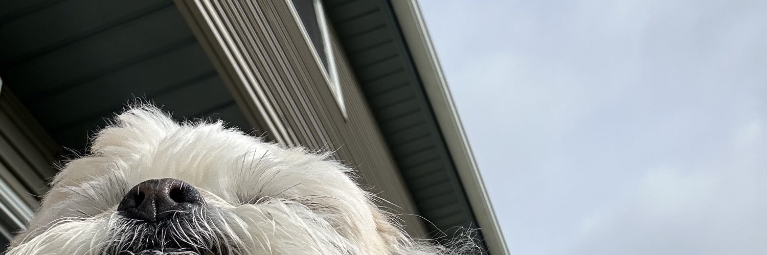jacquelyn_09's profile banner image
