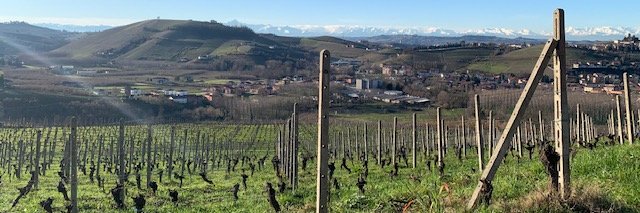 educatedgrape banner