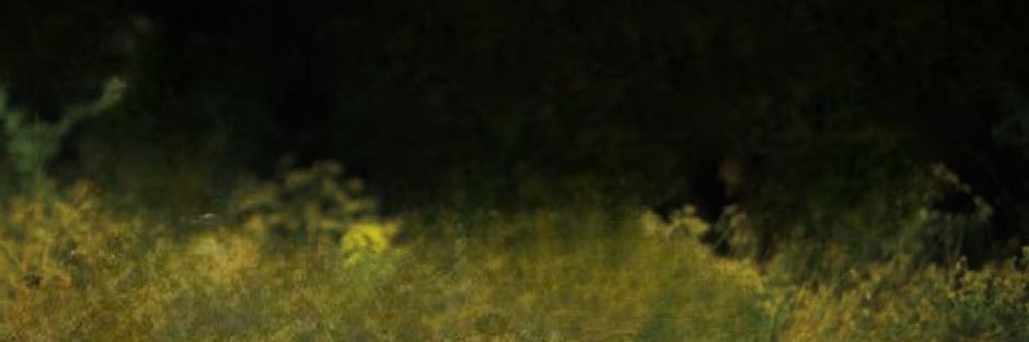 celestial_glo's profile banner image