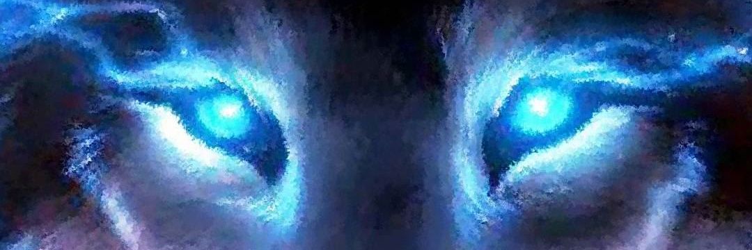 Bloodof1347's profile banner image