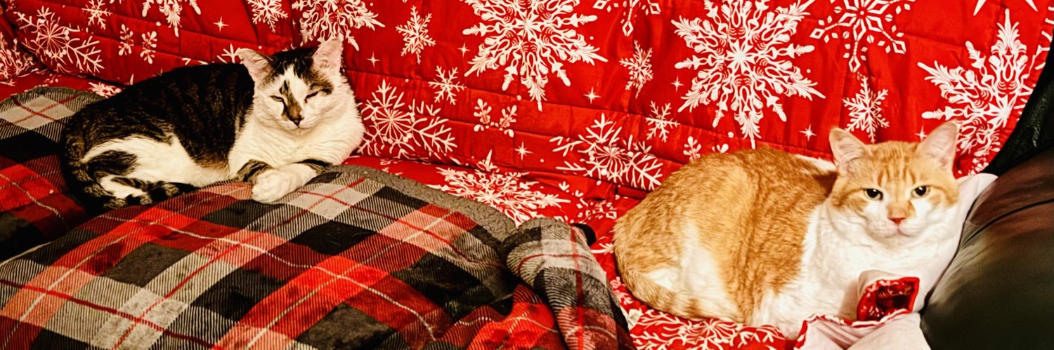 💋Political_Sass💋 banner