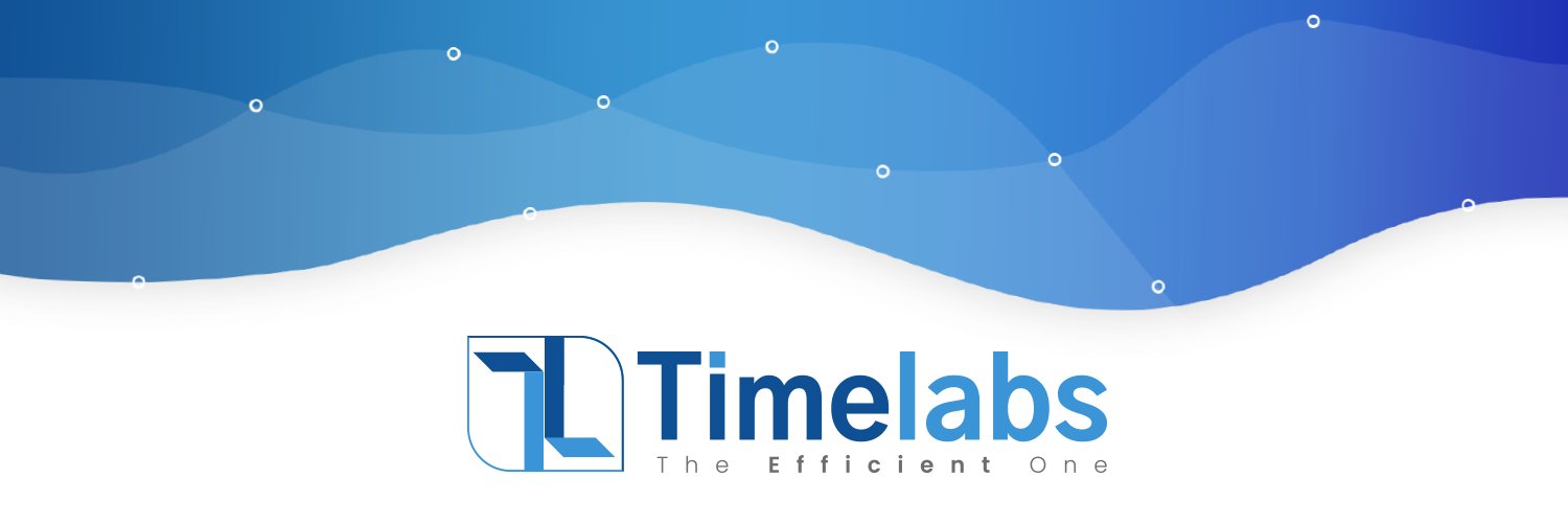 TimelabsPro banner