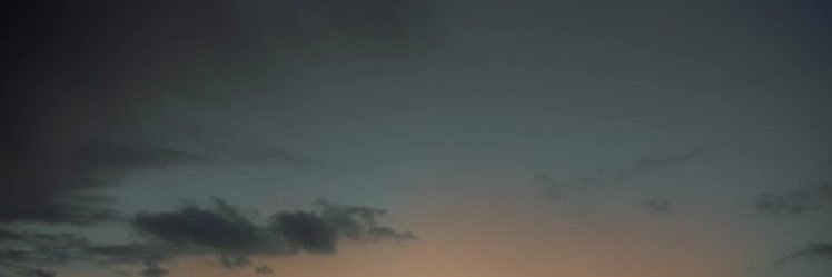 w banner