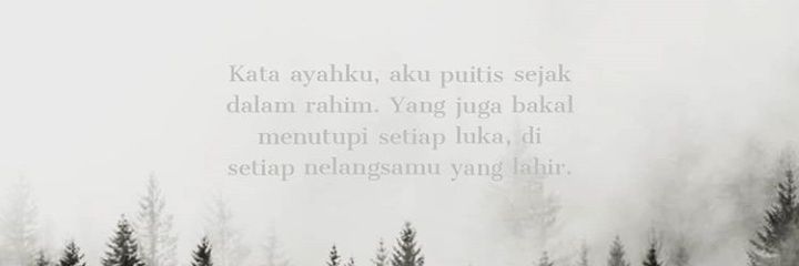 pensilfariz's profile banner image