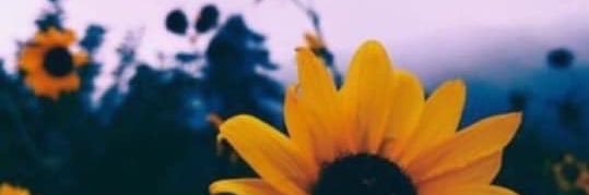 txpainga's profile banner image