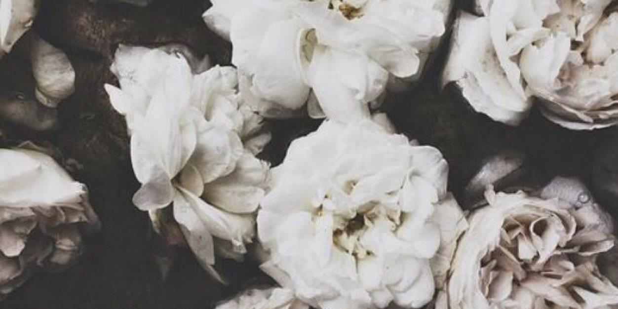 nataliembaca's profile banner image